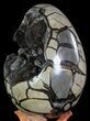 Masive, Septarian Dragon Egg Geode - Black Crystals #63133-4